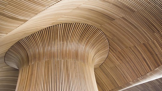Ceiling details of Welsh Assembly Government Building. Reflecting the forms of a sandy beach.