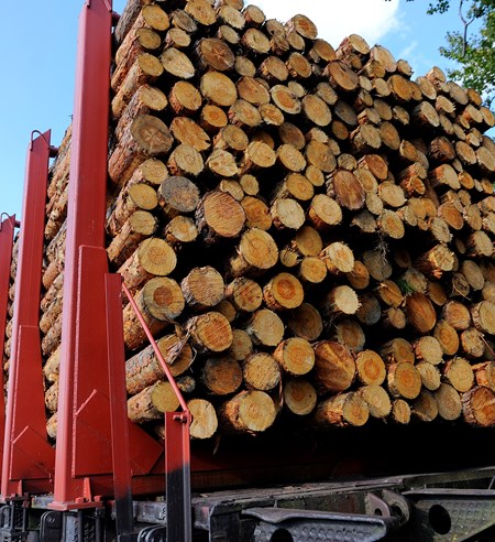 Digital delivery notification adds value for Sveaskog's timber transports