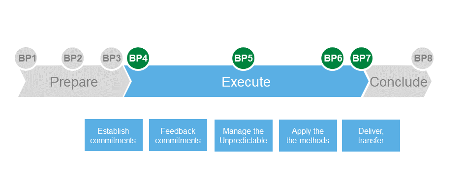 PPS execute project