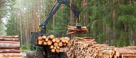 Digitala lösningar för skogsbranschen