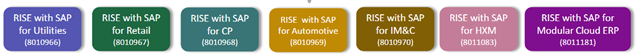 RISEwithSAP_MV_image2.png