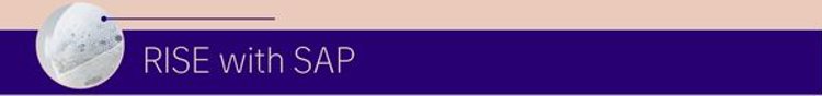 RISE with SAP.jpg